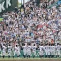 【一覧】ベスト8決定！甲子園優勝経験校が6校、関東勢が4年連続で複数校進出、初出場の8強入りは5年ぶり、2年連続は横浜だけ