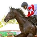 「これはヤバい」「菊花賞馬との出会い」大差→８馬身差で連勝の３・９億円馬に驚がく　札幌１２Ｒダノンヒストリー