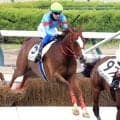 「泣きそうです」助手から障害専門ジョッキー転身の坂口智康騎手　全面サポートの浅利師と待望のコンビ初Ｖ　