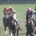 「兵長が覚醒！」“進撃のリヴァイ”昇級戦で5馬身差独走V…「強すぎてびっくり」ファン沸騰