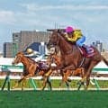【札幌記念】古川吉洋騎手との円熟コンビでシェイクユアハートがコースレコードＶ　「ずっと一緒に歩んでこられてうれしい」と感無量