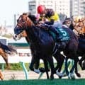 札幌でキーンランドCと新潟で新潟2歳S/今週の競馬界の見どころ