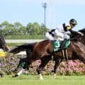 【中京記念】岩田望来騎手騎乗のラヴァンダがコースレコードで重賞２勝目　「外に出せば必ず伸びると信じて追った」