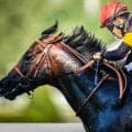 【キーンランドC】レース史上初の連覇なるか パンジャタワーが1年ぶりの勝利狙う