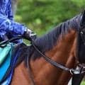 【新潟２歳Ｓ・浅子の特注馬】買い材料いっぱいのレッチュベルク　前走パフォ＋久保田厩舎の勝利数ダントツ１位の鞍上…
