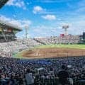 夏の甲子園、準々決勝のチケット早くも完売　横浜、仙台育英、花巻東など18日に強豪激突