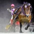 【ばんえいグランプリ】ファン投票１位のメムロボブサップが史上初の６連覇　阿部武臣騎手「負けられない！と思い...」