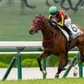 【新潟2歳S登録馬】エフフォーリア産駒インカルナータなど10頭
