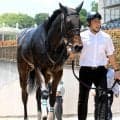 【長岡Ｓ・三戸の特注馬】辻厩舎へ転厩初戦のジャサルディア　得意のマイル戦に戻ってオープン入りを決める