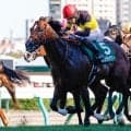 【AI予想・キーンランドC】人工知能は意外な馬にも注目！ 札幌芝1200m向きの本命候補とは