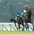 【盛岡・OROカップ見どころ】元JRA馬ヴィクティファルスが初の盛岡芝へ…モズマーヴェリックは重賞連勝狙う