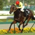 最低人気馬がまさかの大金星 08年キーンランドCをプレイバック