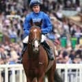 【英インターナショナルＳ】世界ランク１位のオンブズマンＶＳ３歳代表５連勝のコンスティテューションリバー　１９日に注目の頂上決戦