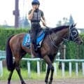 【注目馬動向】エルムＳで２着のペリエールは南部杯を目標に　Ｊｐｎ１初制覇を目指す