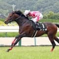 「狙って買ってる人なんておるかこれ」「シンボは辛抱強い」１１番人気の９歳馬が衝撃の６年７か月ぶり重賞Ｖ　盛岡競馬・ＯＲＯカップ