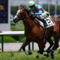 【新潟2歳S】いとこに名牝2頭 トップチェッカーが無敗戴冠なるか