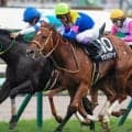 【キーンランドC】武豊騎手が12回目の参戦で初制覇なるか サウンドモリアーナで挑む