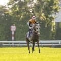【新潟記念想定】ロデオドライブ、ドゥレッツァなど12頭