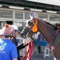 左目が見えないハンデ乗り越え…　ドコフクカゼが２戦目で初勝利　新原周馬騎手「一戦しての成長を感じた」川崎２Ｒ
