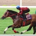 「有馬の流れか！」「恐るべき速さ」異例の芝コースで追い切ったダート王者フォーエバーヤングにネット騒然