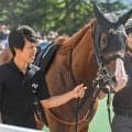 【キーンランドC】半姉は重賞5勝のナムラクレア ナムラクララがレース史上初のきょうだいV狙う