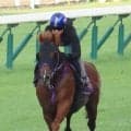 【キーンランドＣ】９歳馬ウインカーネリアンは三浦皇成騎手を背に活気ある動き　「スプリンターズＳに向けて...」