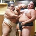 十両・嘉陽「夏のテーマは立ち合い」稽古で鋭い立ち合い光る…お盆休みの思い出も明かす