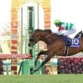 絶好調の新種牡馬が日高のセリでも大人気！初日に続いて３日目もエフフォーリア産駒が最高落札額をマーク