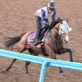 【新潟記念・１週前】さすがの伸び脚！３歳マイル王のロデオドライブに辻調教師「疲れを気にせず調教できている」