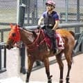 香港馬ファストネットワークがスプリンターズＳに予備登録　セントウルＳ出走へ向け２５日に来日予定
