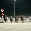 【門別・フルールC結果】セルアウトクラウドが5馬身差圧勝で無傷3連勝を飾る