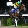 【川崎・スパーキングサマーC結果】ベアバッキューンが逃げ切って重賞4勝目を飾る