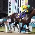 ベアバッキューンがスパーキングサマーＣを逃走Ｖ　重賞４勝目