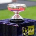 【天皇杯】FC大阪、奈良に逆転勝ちで２回戦進出　ソウザが2G1A「練習でやっていた形」