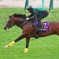 【キーンランドＣ】パンジャタワー連覇へ死角なし馬なり猛時計