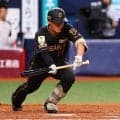 【阪神】ルーキー谷端将伍を初スタメン起用　ベストな選択と問われ藤川監督「その通りです」