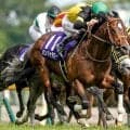 【キーンランドC出走馬・騎手確定】パンジャタワー＆松山弘平騎手、ナムラクララ＆浜中俊騎手など16頭