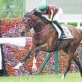 【新潟2歳S出走馬・騎手確定】インカルナータ＆坂井瑠星騎手、レッチュベルク＆田辺裕信騎手など10頭 【新潟2歳S出走馬・騎手確定】インカルナータ＆坂井瑠星騎手、レッチュベルク＆田辺裕信騎手など10頭