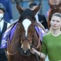 母は仏G1勝ちの名牝 グランドストーリーがデビュー勝ち狙う