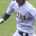 【一覧】秋季県大会シード決定！済美、松山商がブロック1位！愛媛秋季地区別新人戦【26年秋高校野球】