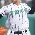 津田学園、高田、宇治山田商などがシード決定戦進出！秋季三重大会シード決め地区予選【2026年秋高校野球】