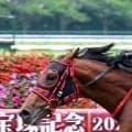 【新潟２歳Ｓ】インカルナータは大外からエフフォーリア産駒初の重賞Ｖ狙う　コレット騎手のトウシンマジックは７枠７番