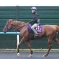 【キーンランドＣ・金曜気配】Ｇ１馬ウインカーネリアンは活気ある身のこなし　陣営「スイッチが入ってきています」