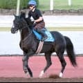 【キーンランドＣ・金曜気配】１年７か月ぶりの勝利目指すリラエンブレム　陣営「長期休養明け３戦目で良くなってきた」