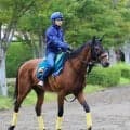 【新潟２歳Ｓ・金曜気配】３馬身差Ｖ発進のレッチュベルク　久保田調教師も絶賛「現時点では言うことがない」