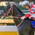 福永祐一厩舎の億超えコントレイル産駒 ドミナントが新馬勝ち狙う