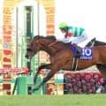 【２２日の注目・新潟５Ｒ】全兄に２１年の年度代表馬エフフォーリアを持つ良血馬　エヴィーヴァがマイル戦で待望の初勝利へ