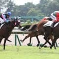 【新潟１Ｒ・２歳未勝利】コスモイェーガーが２戦目で順当勝ち　菊沢一樹騎手「ポテンシャル感じていた」