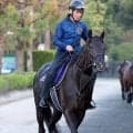 【注目馬動向】クロワデュノールの秋初戦は天皇賞・秋　父キタサンブラックに続く同一年春秋制覇へ　