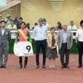 【中京２Ｒ・２歳新馬】マルカルーカスが上がり最速でまとめて差し切る　幸英明騎手「伸びしろがあると思います」